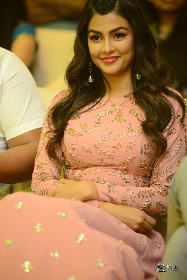 Okkadu-Migiladu-Movie-Pre-Release-Function